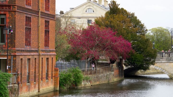 Visiting Bedford Alone? How to Fit a Relaxed Adult Companion Date Around Your Itinerary