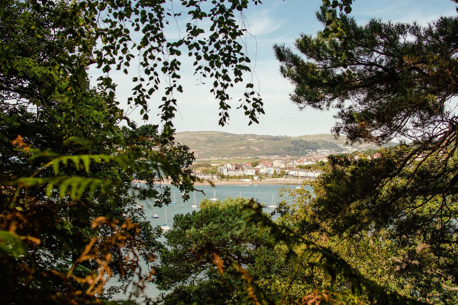 View of Conwy, Wales framed by lush trees, highlighting coast and town.