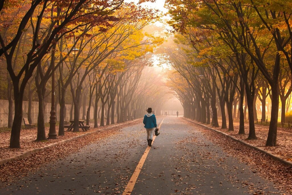 road, pavement, woman, trees, walk, girl, nature, fog, walking, roadway, avenue, mist, leaves, foliage, autumn, fall, park