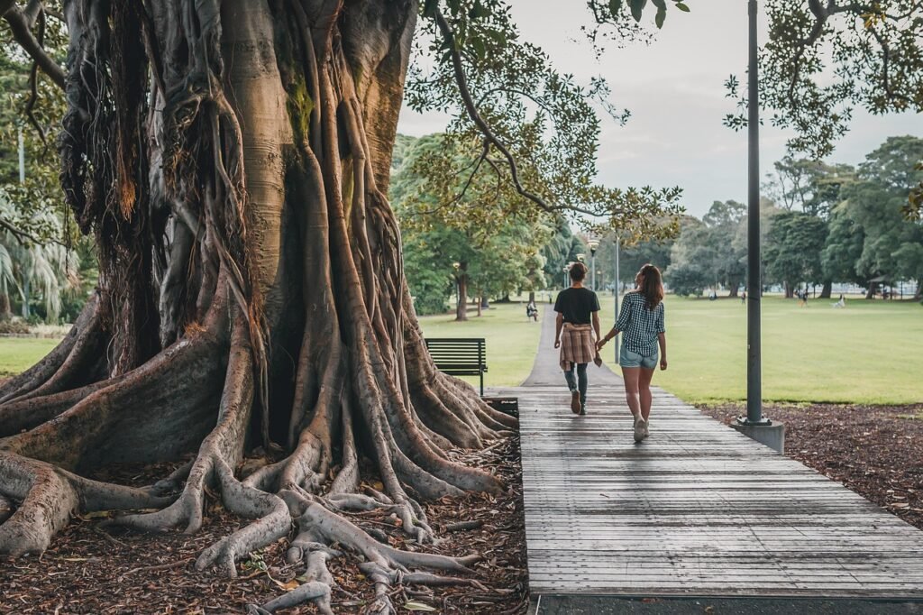 tree, park, nature, forest, landscape, grass, outdoors, environment, wilderness, walking, green, sunset, self care, first may