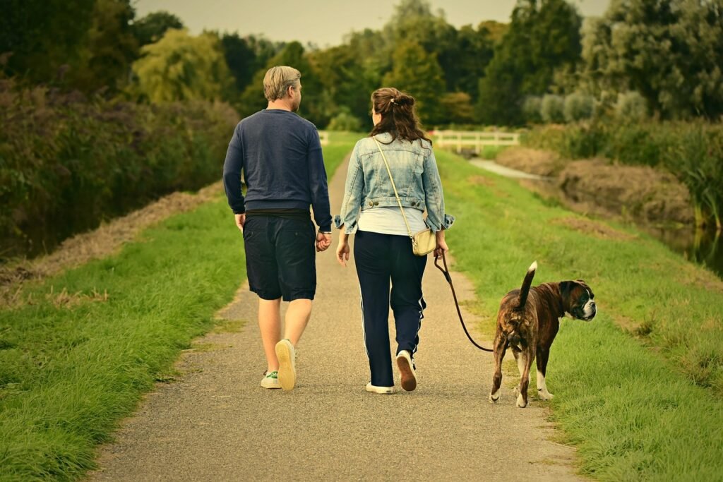 couple, love, outdoors, walking, pair, dog, animal, mammal, canine, pet, nature, man, male, boy, woman, female, girl, romance