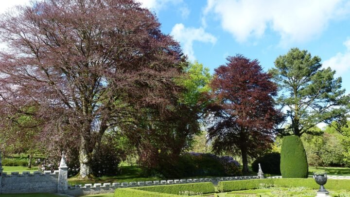 Modern Courtship in High Wycombe: Navigating Local Choices and Romantic Traditions