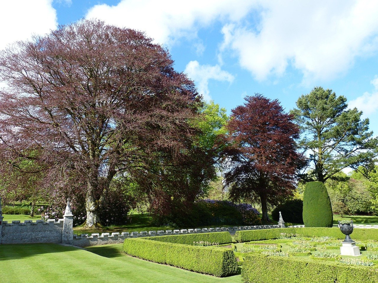 park, cornwall, england, united kingdom, garden, english, landscape, nature, tree, spring, hedge