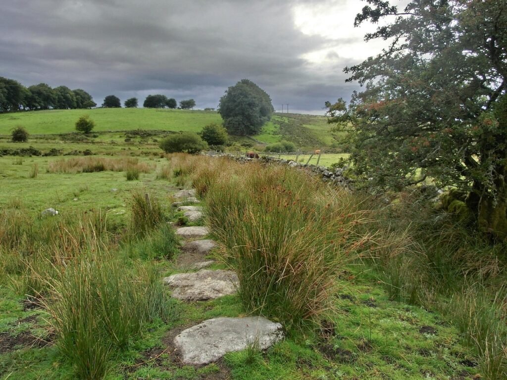 dartmoor, england, united kingdom, devon, landscape, high moor, national park, path, dartmoor, dartmoor, dartmoor, dartmoor,
