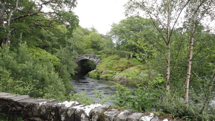 Cumbernauld Entertainment Explored: Questions Answered About Local Fun