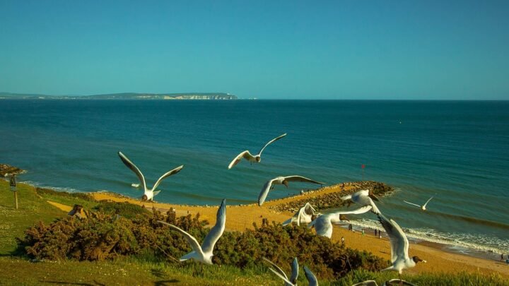 Mastering Date Tinder in Southend-on-Sea: How to Turn Swipes into Real Connections