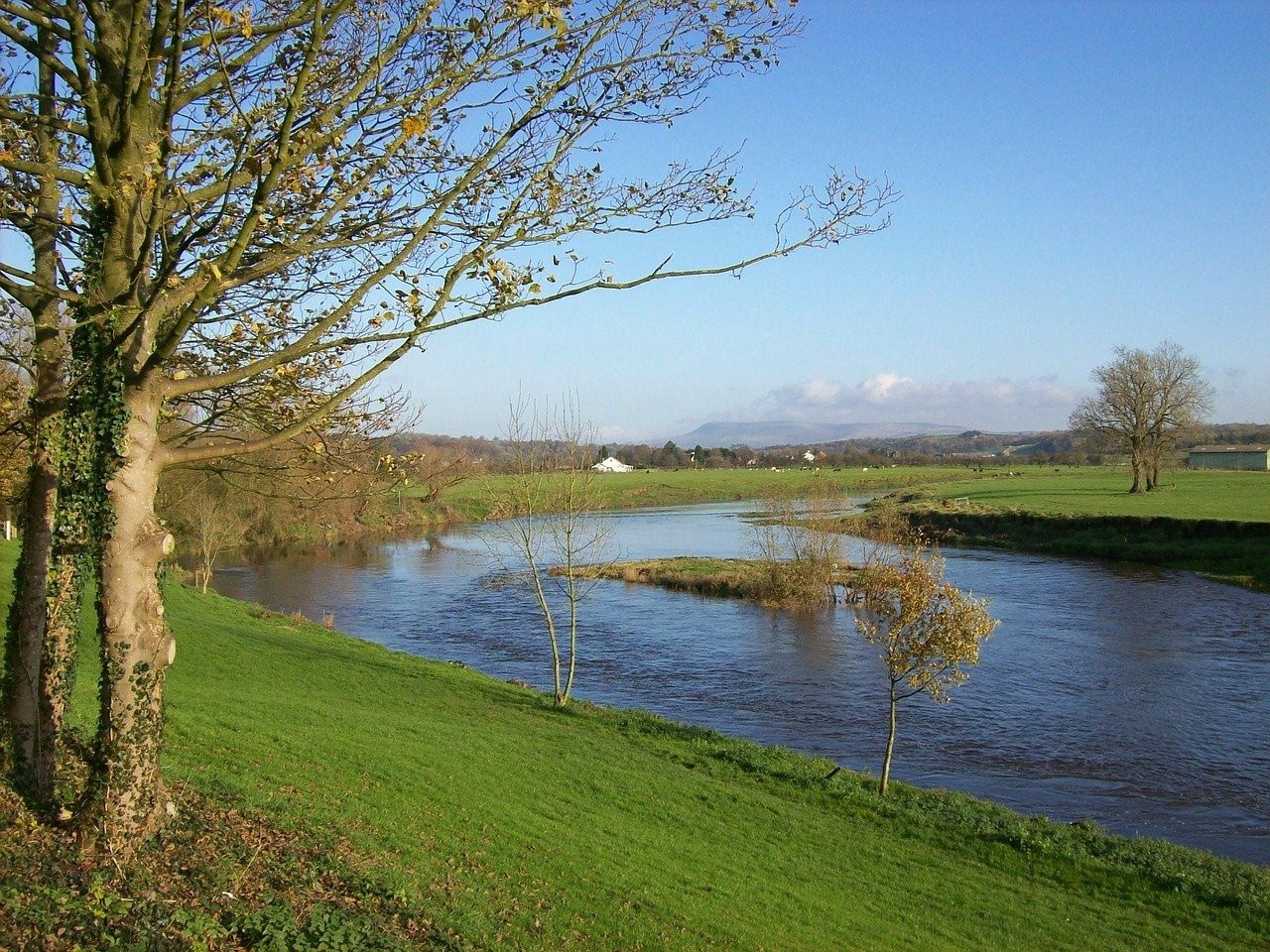ribchester, england, united kingdom, river, water, landscape, scenic, grass, stream, nature, outside, country, countryside, r
