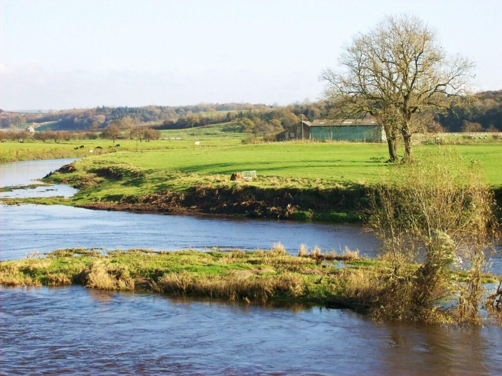 ribchester, england, united kingdom, river, water, landscape, scenic, grass, stream, nature, outside, country, countryside