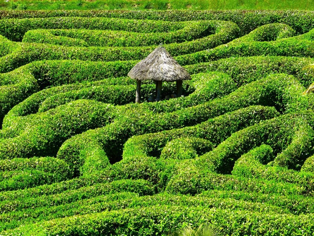 maze, labyrinth, glendurgan, gardens, cornwall, south england, united kingdom, maze, maze, maze, maze, maze, labyrinth, labyr