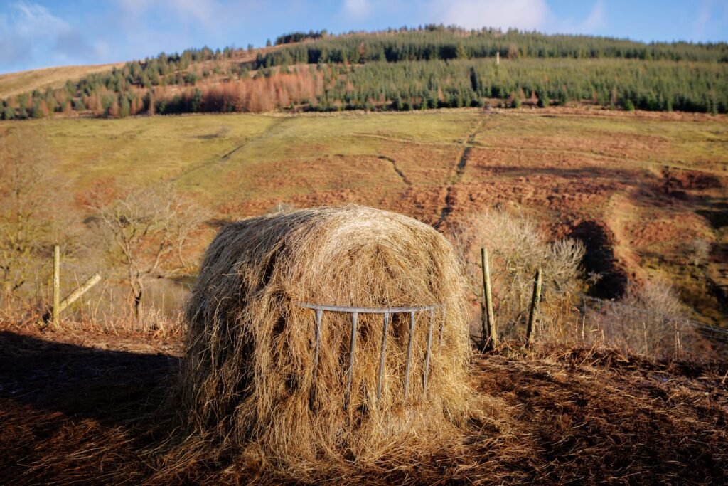 A scenic view of a hay bale against the lush landscape of Wales, UK, during the day.