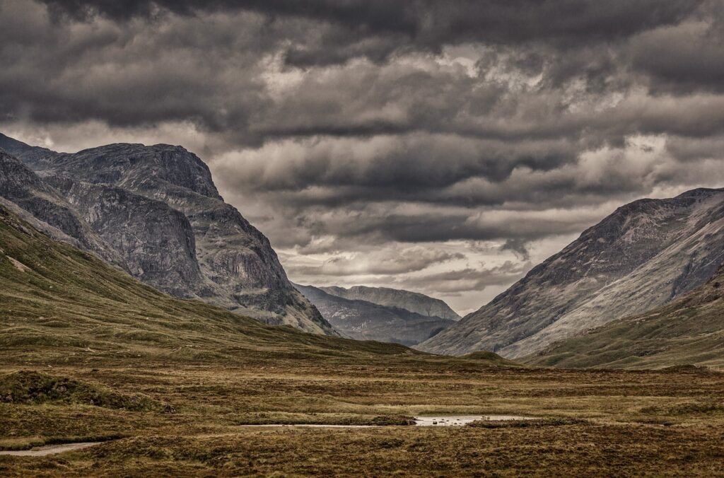 scotland, flower wallpaper, highland, landscape, nature, flower background, united kingdom, mountains, hill, flower, beautifu