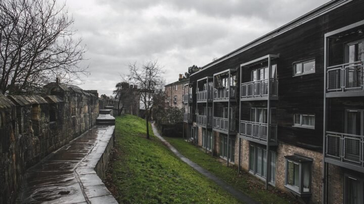 Things Worth Checking Before Choosing Entertainment in York