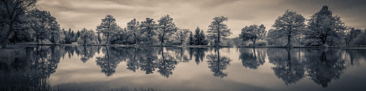 panorama, landscape, reflection, lake, nature, water, lakeside, waterfront, water surface, mood, trees, water mirror, panoram