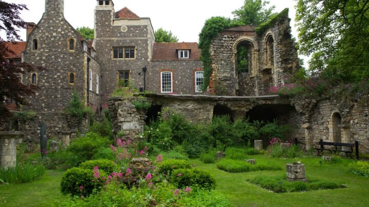 Experience in Canterbury: A Calm Look at the Options