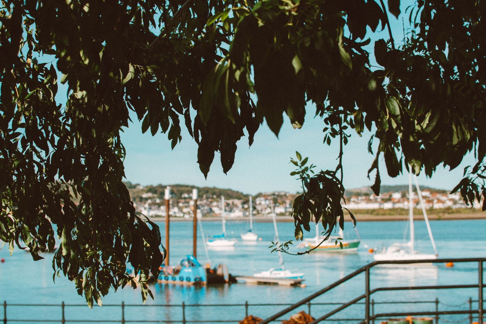 A picturesque view of boats on Conwy River with lush foliage framing the scene in Wales.