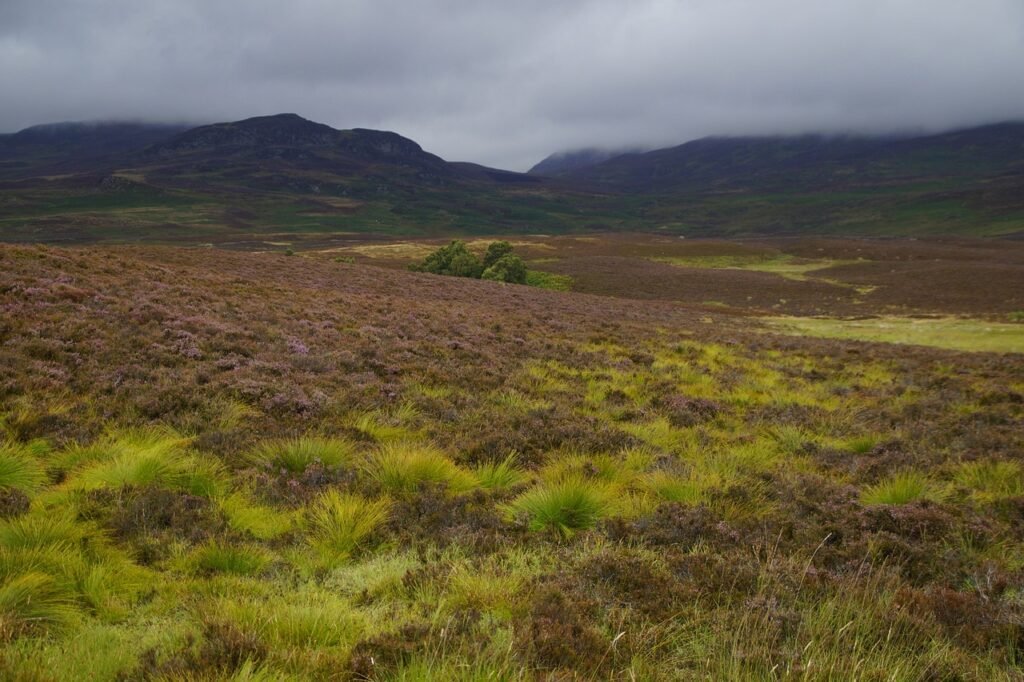 scotland, highlands, united kingdom, landscape, nature, pagan, erika, mood, hill, foggy, fog, mystical, clouds