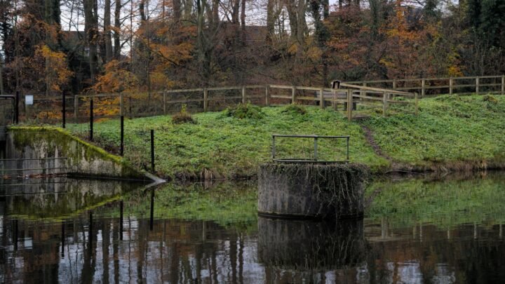 A Local Reader’s Guide to Crafting Meaningful Experiences in Lisburn