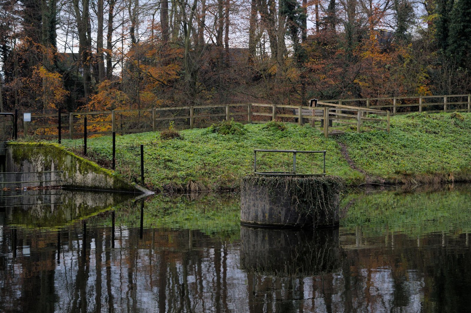 Serene autumn landscape by a pond in Lisburn, Northern Ireland.