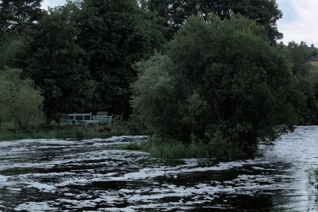 Calm lake surrounded by lush greenery in Lisburn, Northern Ireland. Perfect for nature lovers.