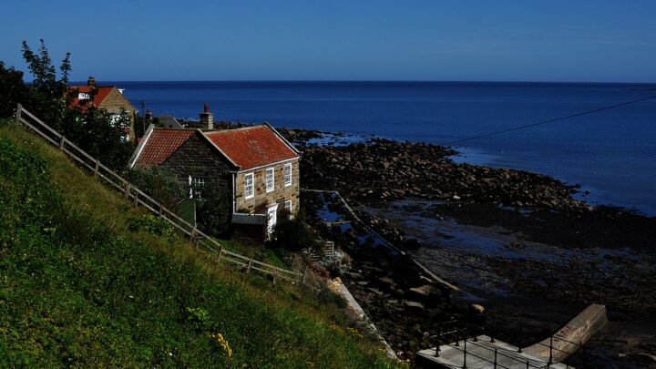 Why Local Knowledge Matters for Online Life in Halifax