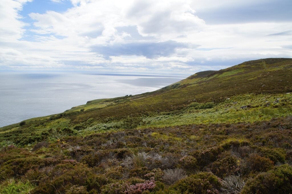 scotland, pagan, coast, landscape, erika, heather, nature, green, united kingdom, hill, grass, highlands, sea, coastal landsc