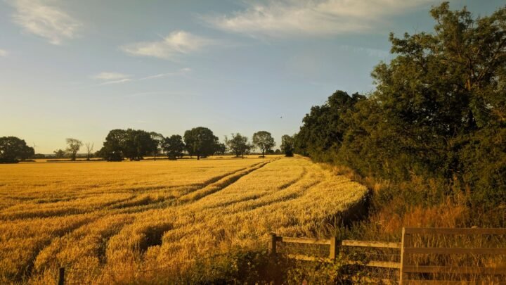 A Closer Look at How We Meet Around Peterborough and Beyond