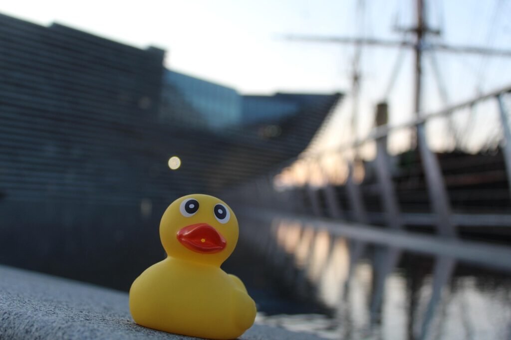 rubber duck, nature, dundee, scotland, water, v a dundee, landmark, angle, morning, random object, focus, boat, sunrise, refl