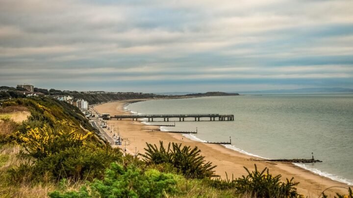 Why Local Knowledge Matters When You Want to Meet New People in Bournemouth