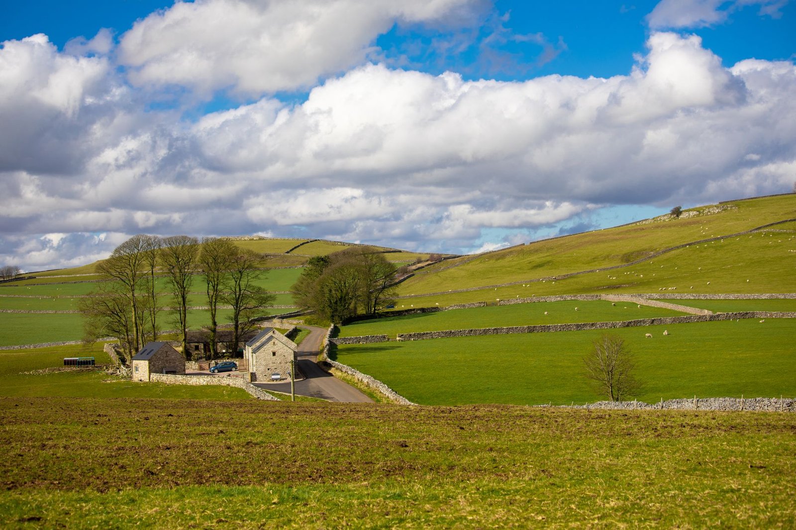 Idyllic rural landscape featuring green fields, trees, and a charming farmhouse under a vibrant blue sky.