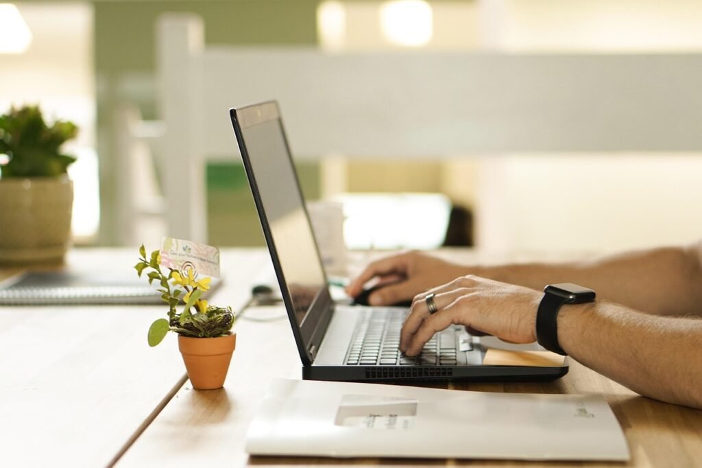 online, connection, laptop, plant, workstation, nature, pot, work, table, workspace, technology