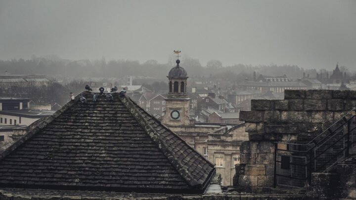 Navigating the Digital Landscape: What Matters Most Online in York and Beyond
