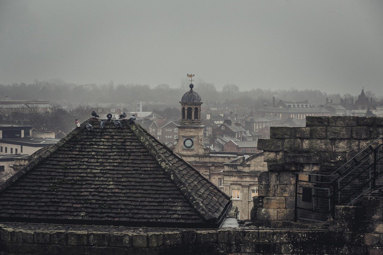 york, city, haze, fog, old town, buildings, cityscape, roofs, rooftops, tower, urban, town, city view, view, yorkshire, engla