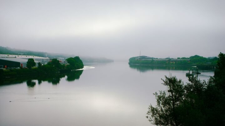 Online in Newcastle upon Tyne: Useful Tips Before You Begin