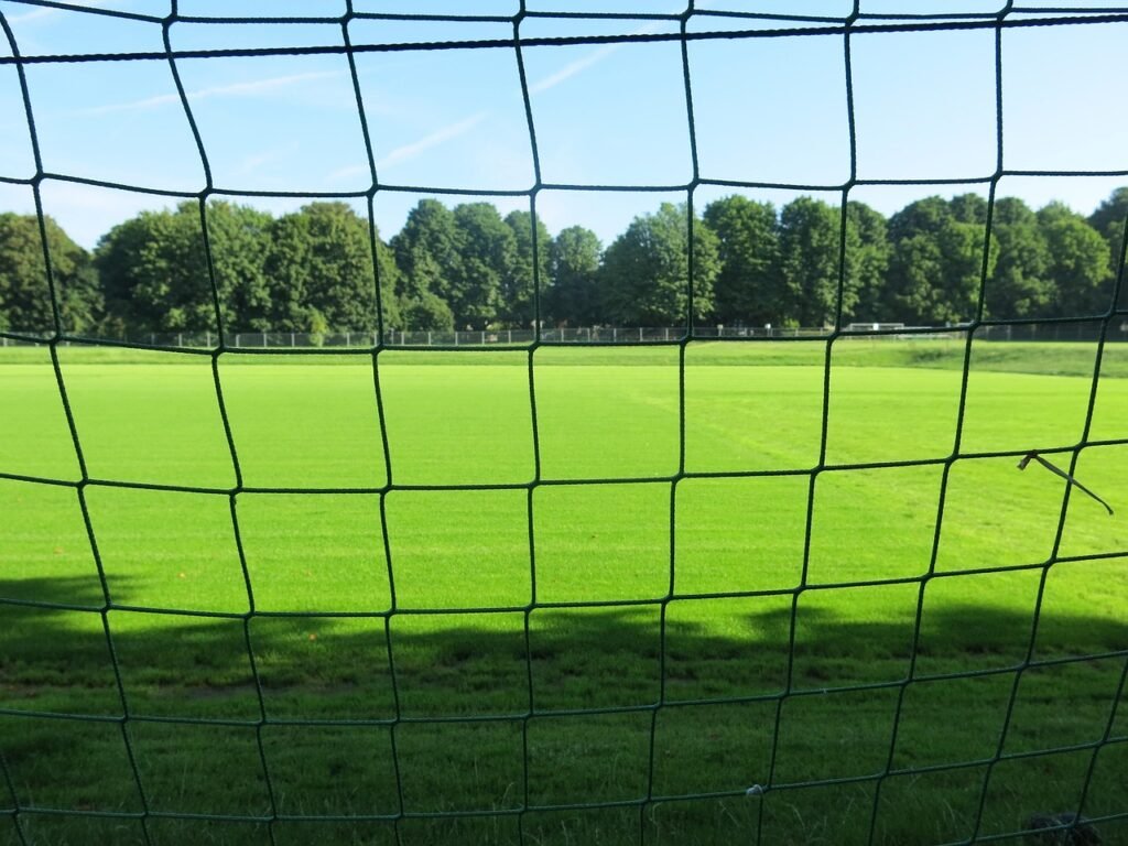green, lawn, football, gate, web, sports, club, football pitch, football pitch, football pitch, football pitch, football pitc