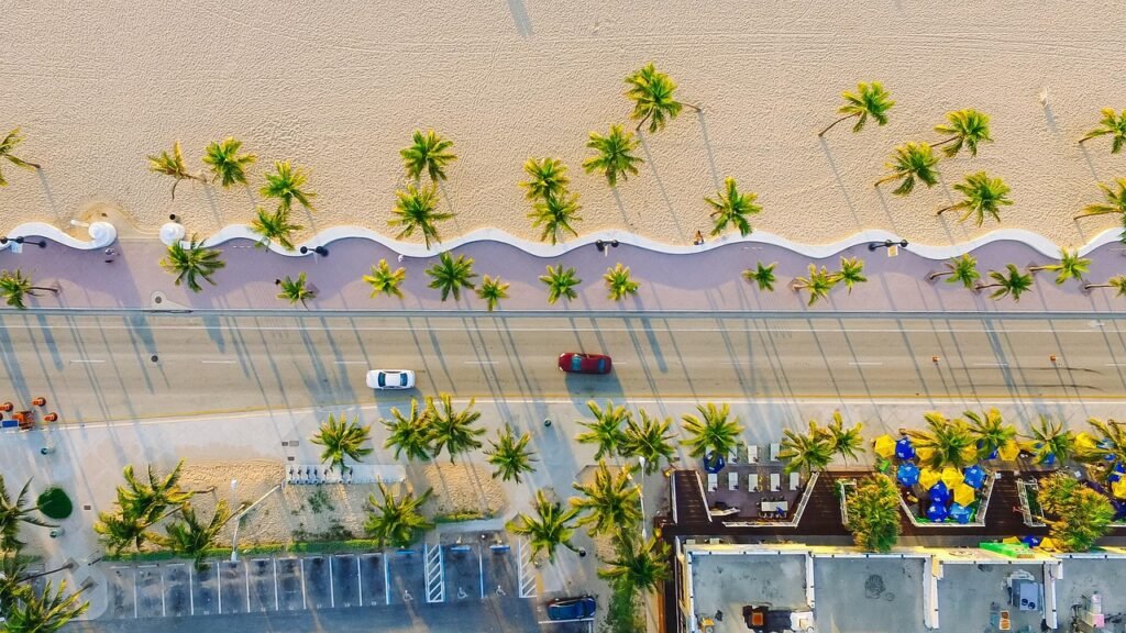 beach, buildings, cars, palm trees, road, sand, beach side, seaside, nature, street, shadows, top view, aerial view, bird's e