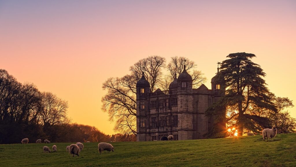 tixall gateway, uk, sunset, nature, castle, england, united kingdom, architecture, heaven, landscape, sheep, grass, mood, sun