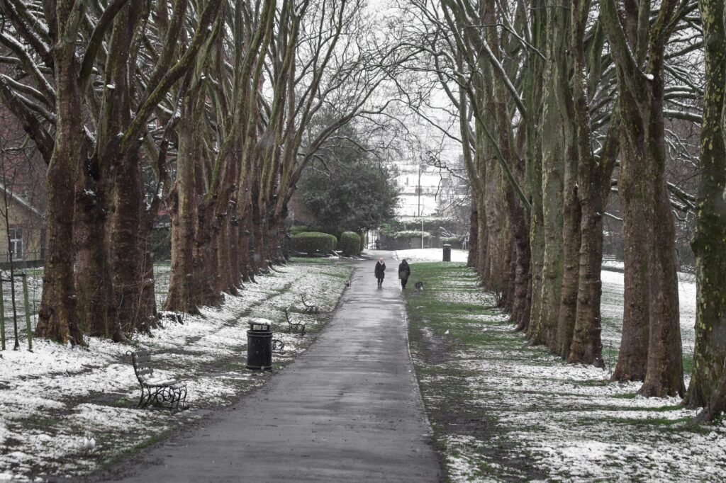 Snow-covered park in Bristol with people walking along a tree-lined path.