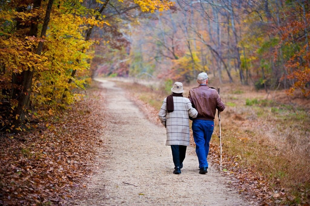 couple, elderly, walking, fall, trail, elderly couple, old couple, holding hands, path, autumn, trees, outdoors, nature, gran