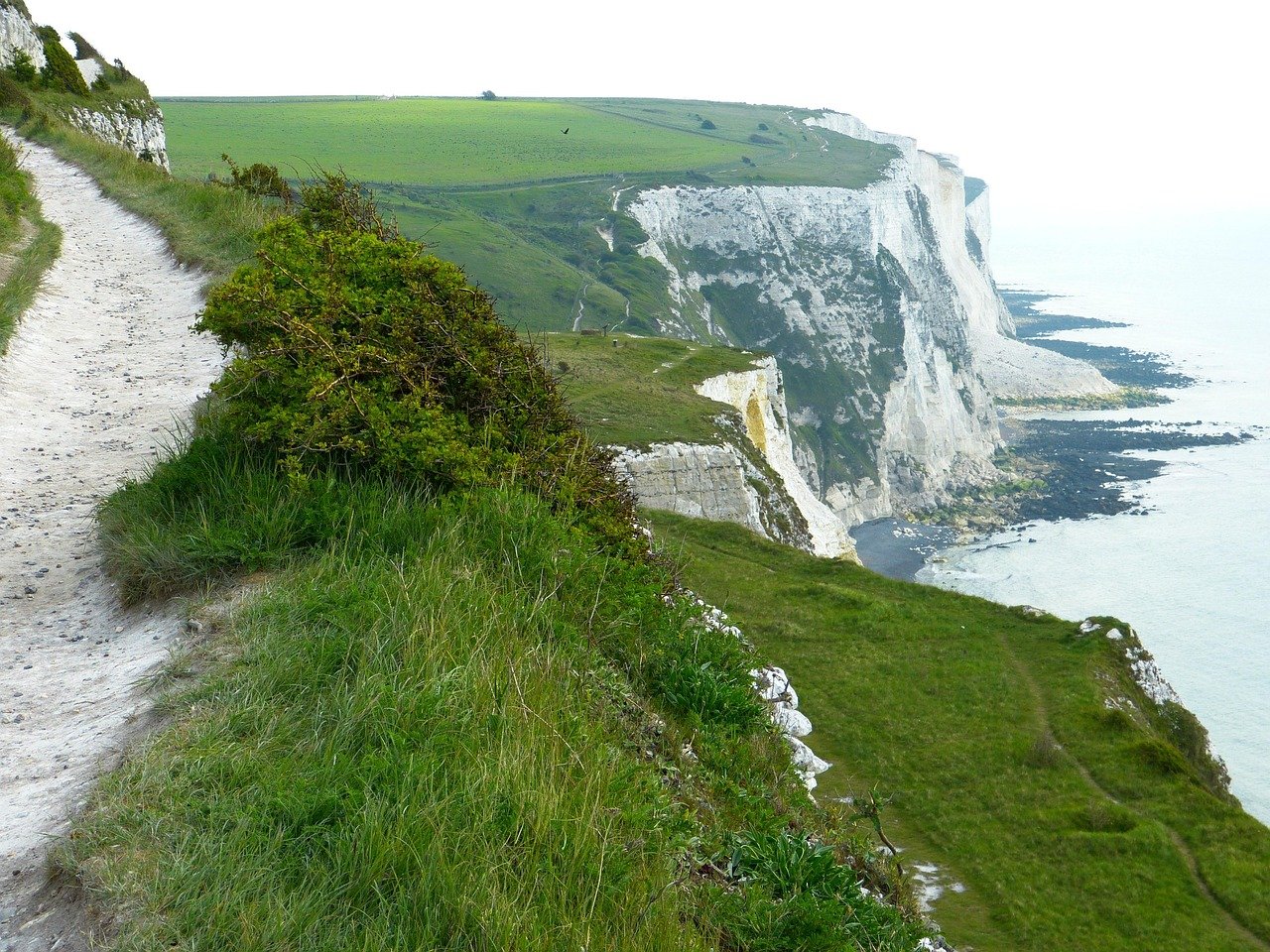 white cliffs, cliffs, dover, sea, coast, path, coastal path, nature, england, united kingdom