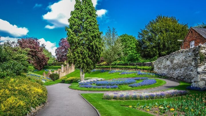Capturing and Curating Sexy Photos in Guildford: A Local Guide