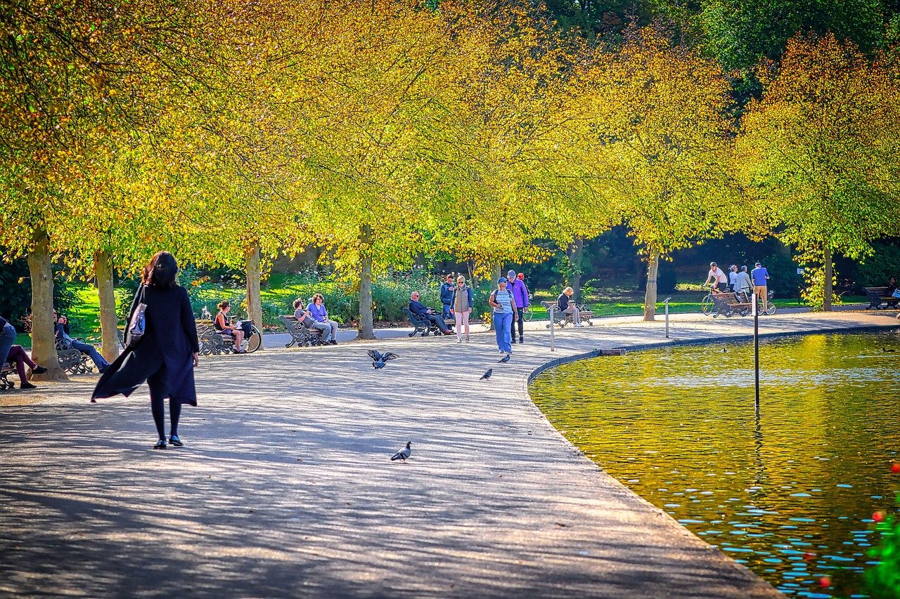 park, london, pond, lake, to stroll, woman, people, england, nature, uk, water, pigeons, united kingdom, trees, fall, autumn
