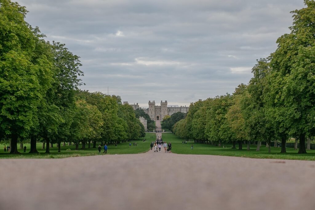 trees, nature, pathway, park, path, palace, castle, windsor castle, windsor, royal, royalty, uk, gb, great britain, united ki