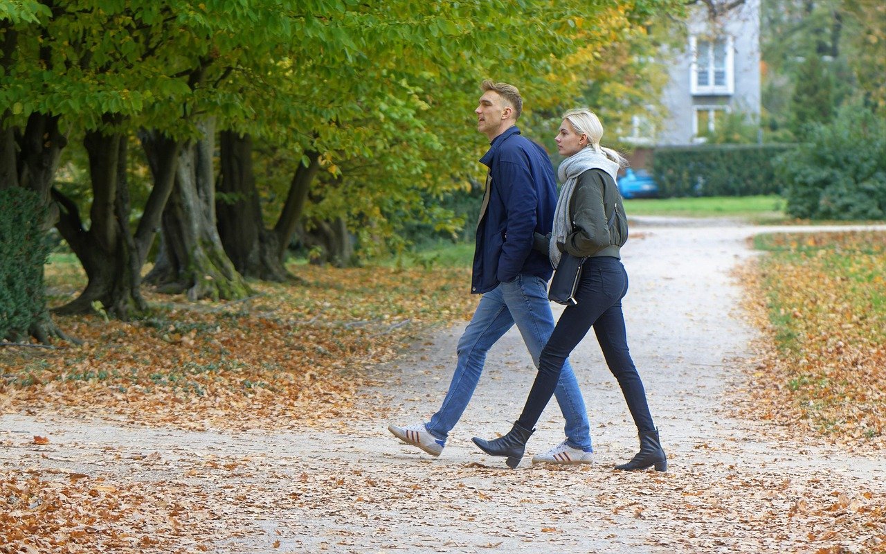 couple, park, autumn, nature, walking, together