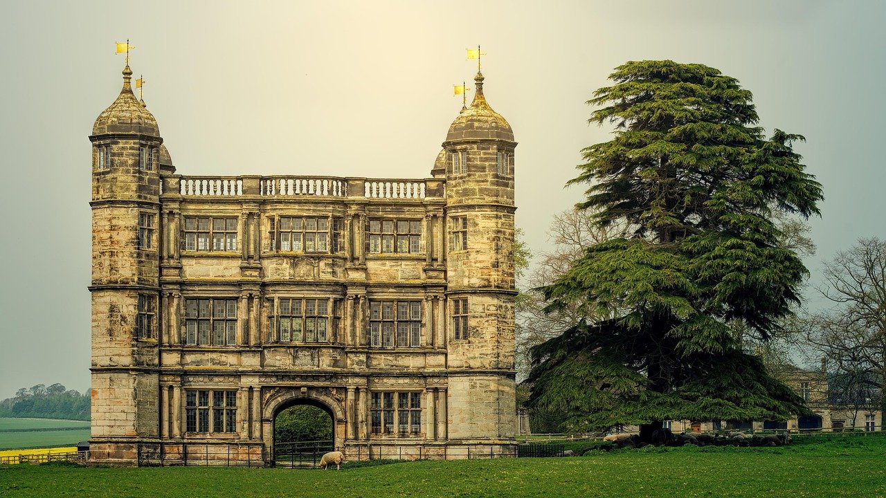 castle, tree, romantic, tixall gateway, uk, england, united kingdom, architecture, heaven, landscape, sheep, grass, mood, nat