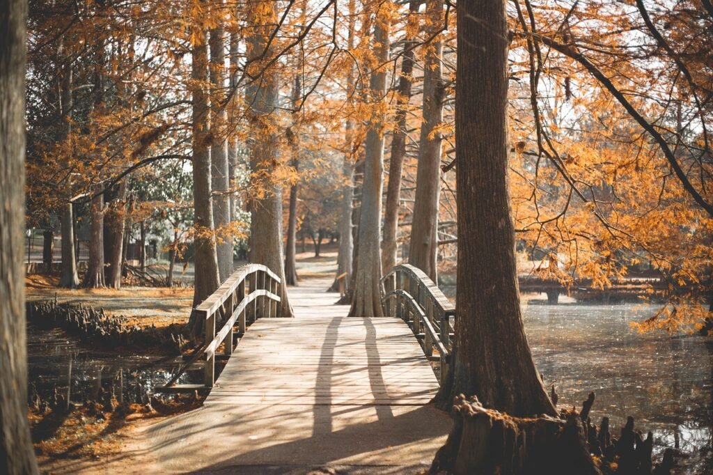 bridge, park, outside, walk, path, journey, landscape, nature, travel, outdoors, tree, scenic, tourism, lake, river, pond, ga
