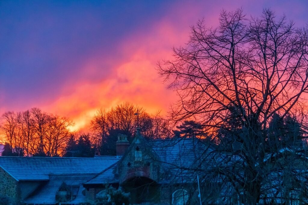 sunrise, sunset, town, winter, houses, trees, england, united kingdom, nature, dusk, dawn