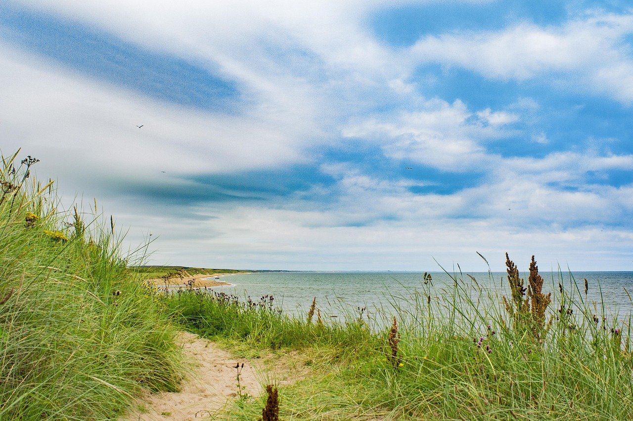 aberdeen, beach, grass, seaside, sea, sky, water, ocean, scotland, coast, blue, landscape, tourism, summer, uk, nature, seasc
