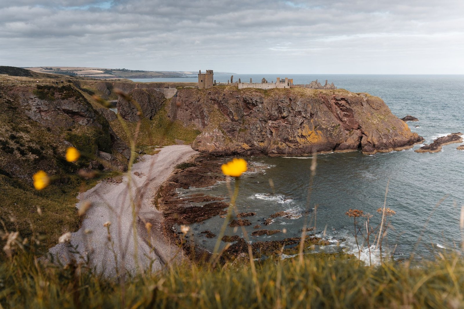 Rugged coastline with ancient ruins in Scotland, sweeping sea views, and wildflowers.