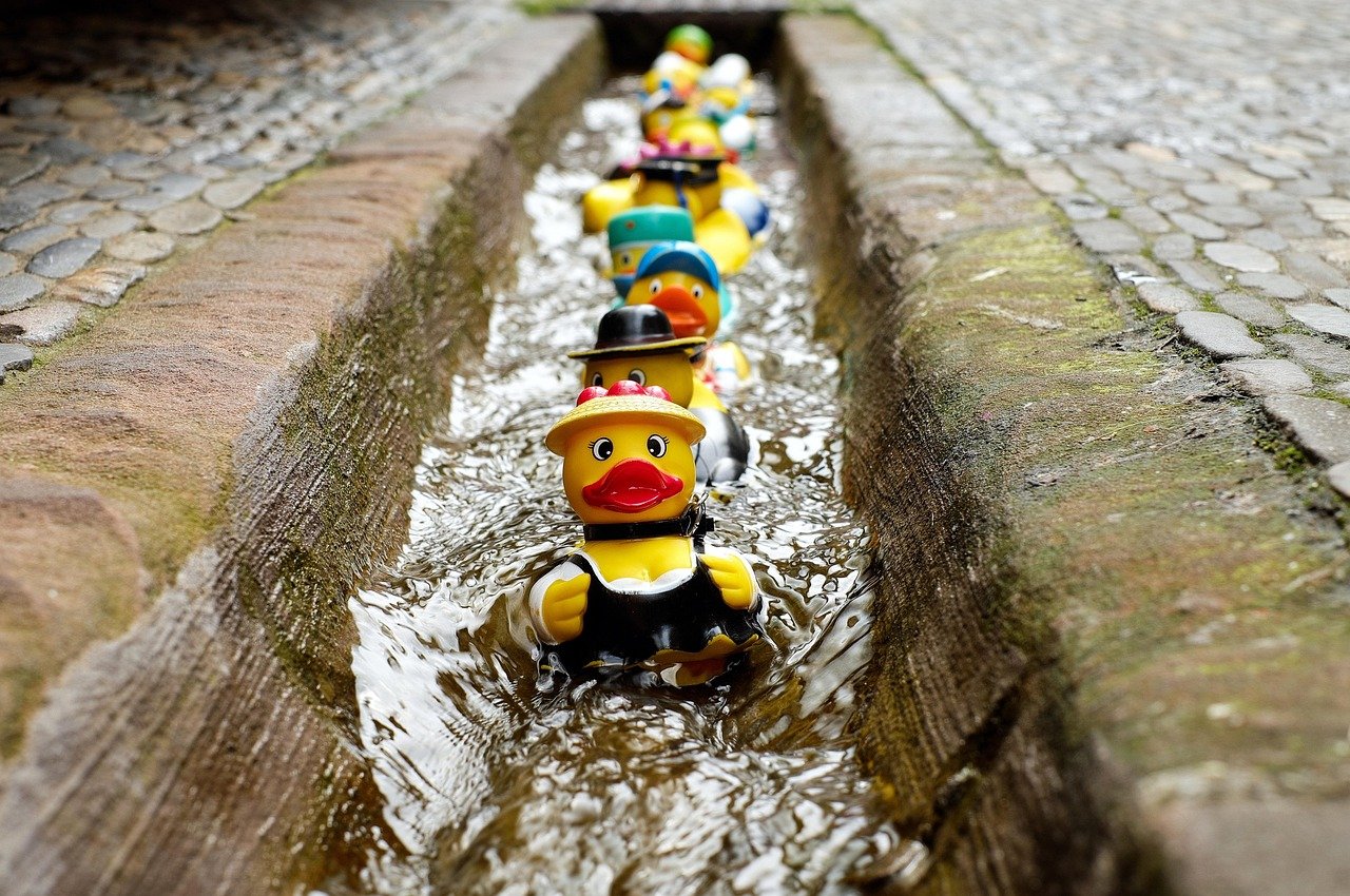 rubber duck, bath duck, toy, costume, bathing fun, rubber duck, rubber duck, rubber duck, rubber duck, toy, toy, toy, toy, to