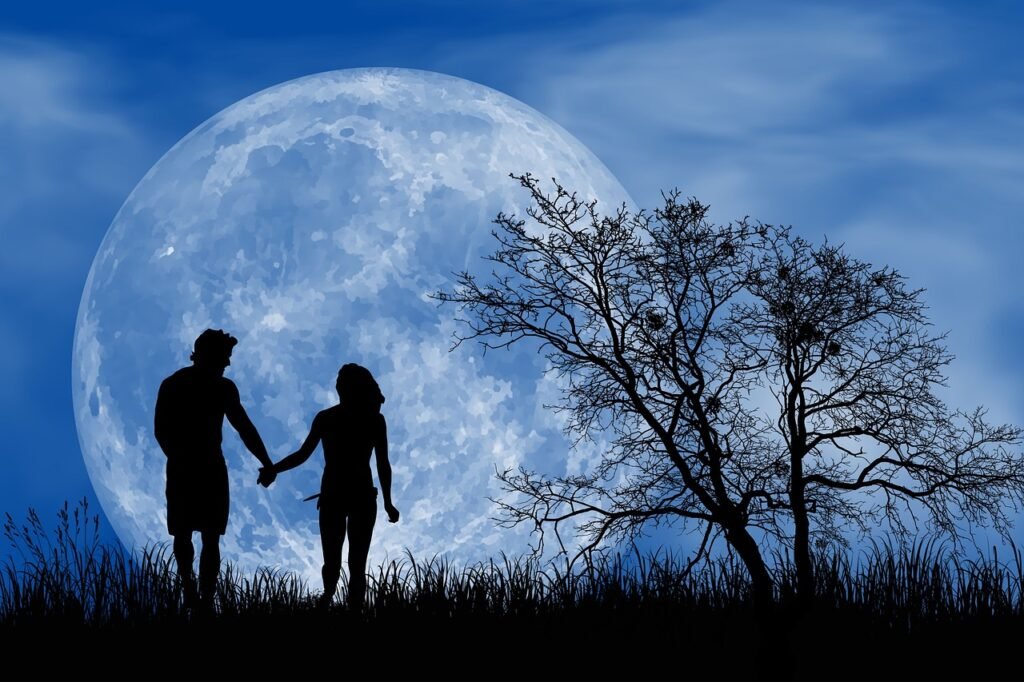 romantic, romantic night, full moon, happy, love, night sky, atmosphere, romance, couple, romantic, romantic, romantic night,